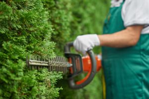 Den perfekta tidpunkten att anlita professionell hjälp för din trädgårdshäck